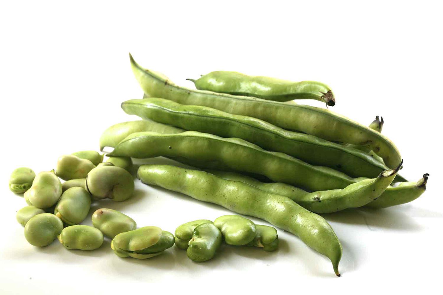 Fresh Fava Beans