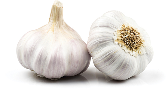Fresh Garlic