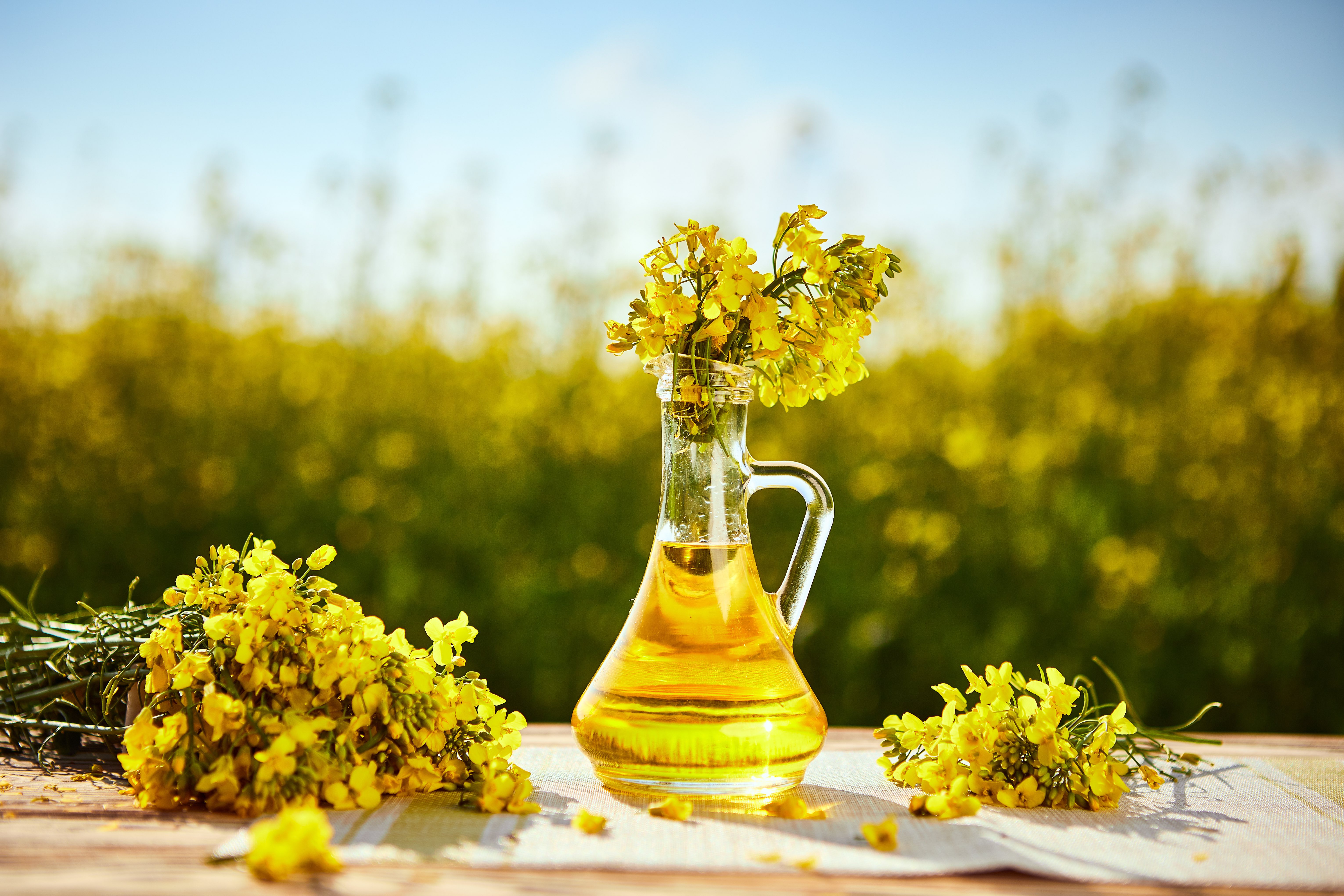 Premium Rapeseed Oil